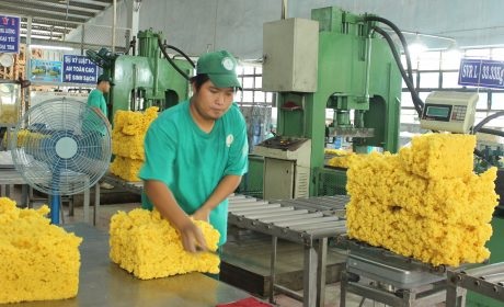 Xây dựng VRG thành thương hiệu mạnh